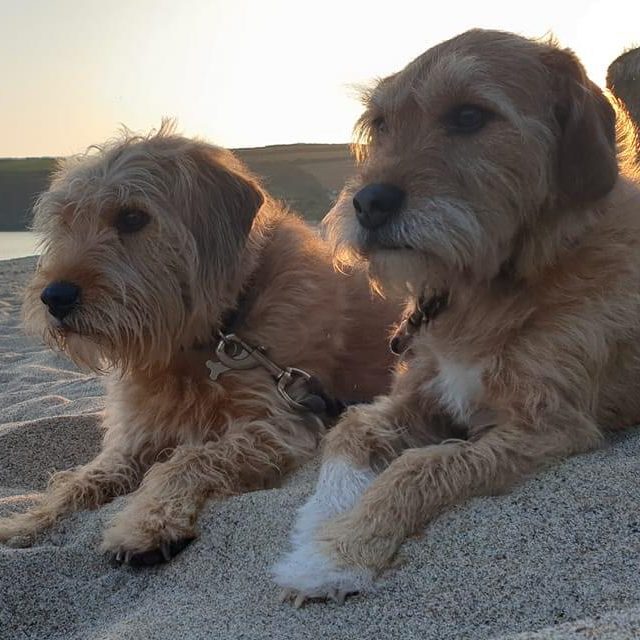 Benson + Riley at the beach